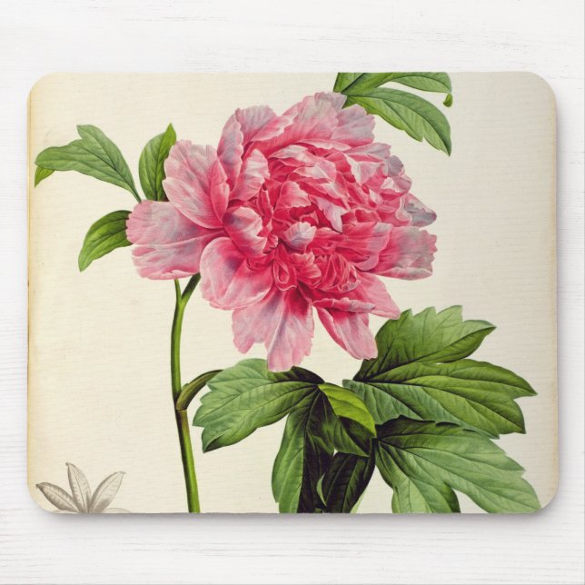 Alfombrilla De Ratón Paeonia Moutan, c.1799 (Frente)