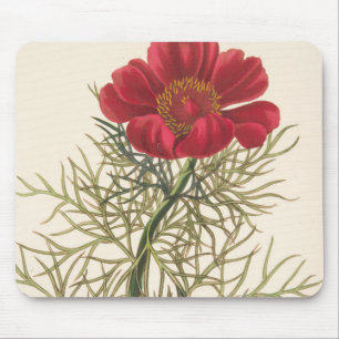 Alfombrilla De Ratón Paeony con hojas fino