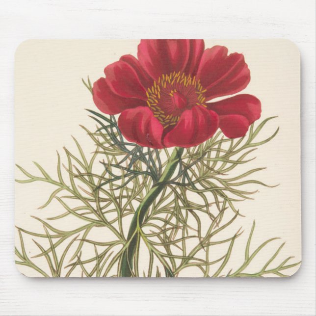 Alfombrilla De Ratón Paeony con hojas fino (Frente)