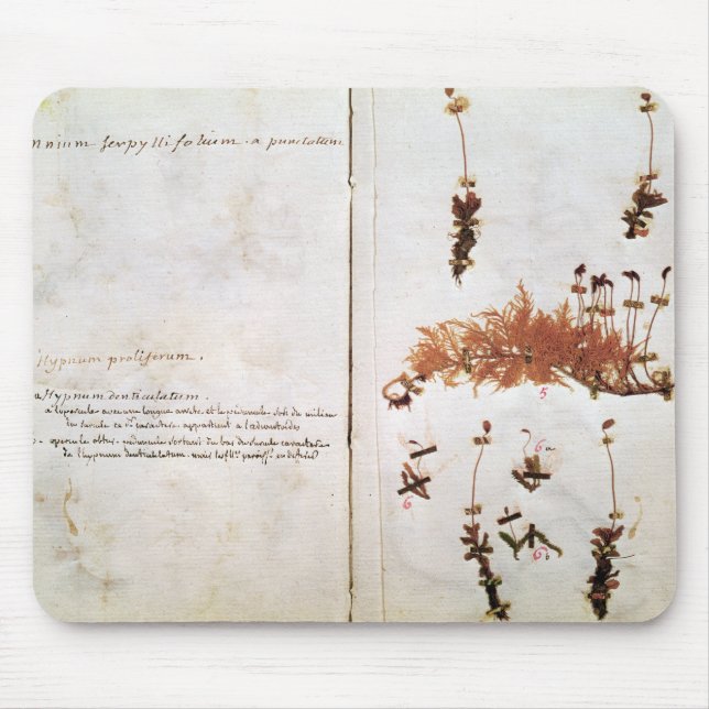 Alfombrilla De Ratón Página 15 de un herbario (Frente)