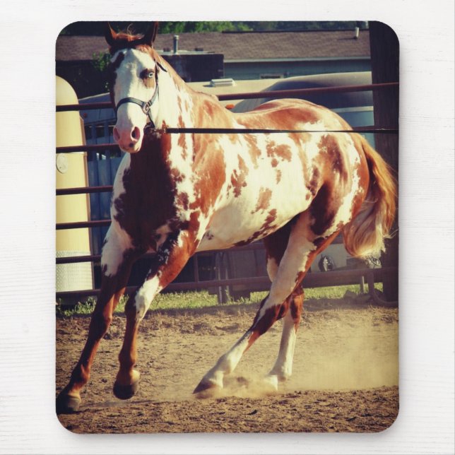Alfombrilla De Ratón Paint Horse (Frente)