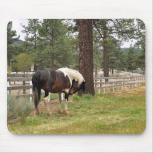 Alfombrilla De Ratón Paint Horse Mousepad