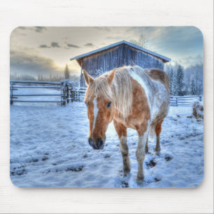 Alfombrilla De Ratón Paint Palomino Fotografía equina de caballo y gran