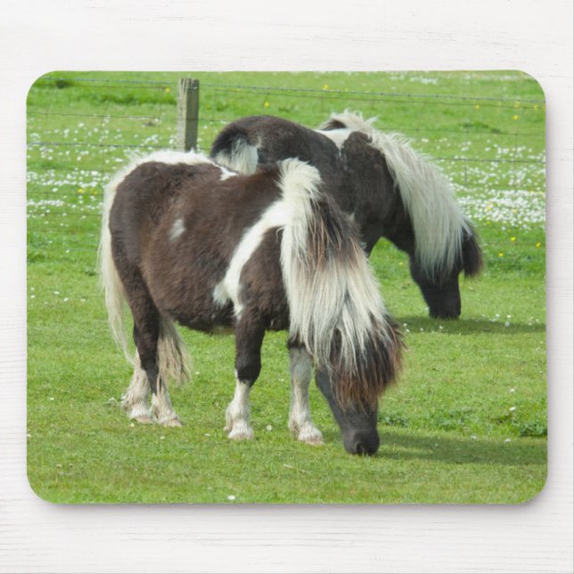 Alfombrilla De Ratón Paint Ponies de Purebred Shetland (Frente)