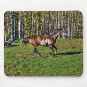 Alfombrilla De Ratón Paint Stallion & Forest Equine Photo