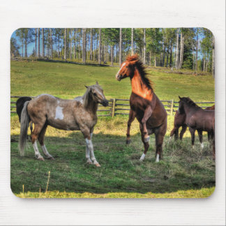 Alfombrilla De Ratón Paint Stallion & Sorrel Mare Equine Photo