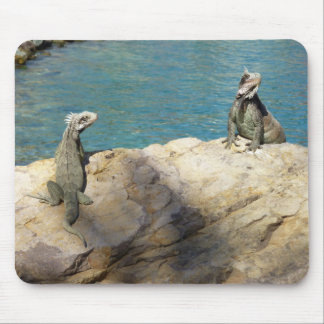 Alfombrilla De Ratón Pair of Iguanas Tropical Wildlife Photography