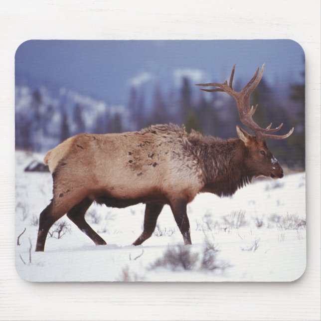 Alfombrilla De Ratón País del Deer (Frente)
