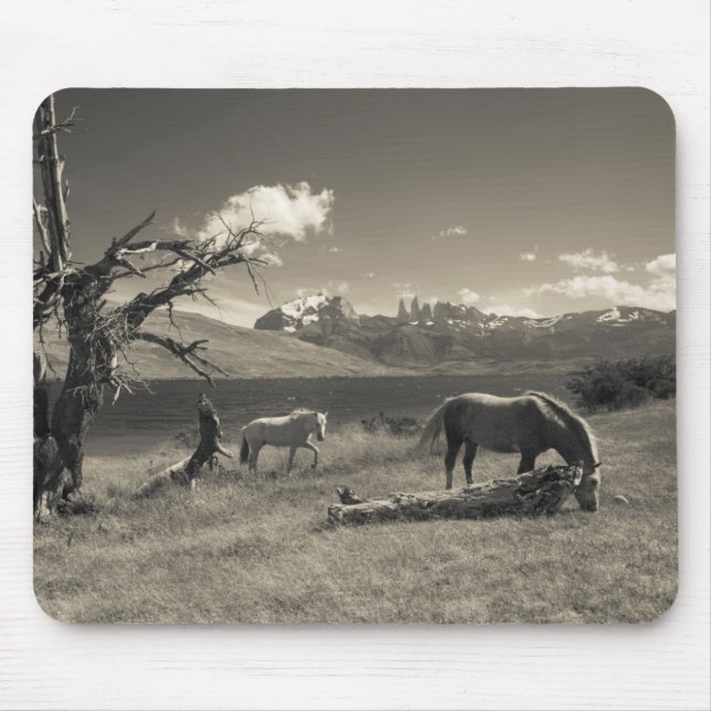 Alfombrilla De Ratón Paisaje con caballos (Frente)