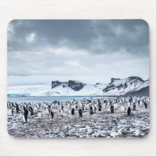 Alfombrilla De Ratón Paisaje de la colonia del pingüino de Chinstrap