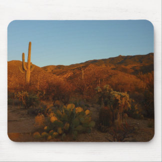 Alfombrilla De Ratón Paisaje del desierto de Saguaro Sunset I Arizona