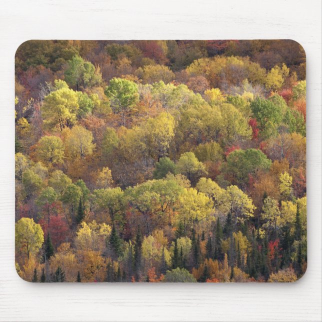 Alfombrilla De Ratón Paisaje otoñal, Vermont, EE.UU. 2 (Frente)