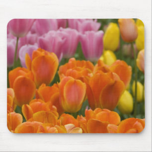 Alfombrilla De Ratón Países Bajos aka Holanda), Lisse. Keukenhof 4
