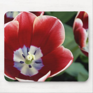 Alfombrilla De Ratón Países Bajos (alias Holanda), Lisse. Keukenhof 3