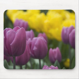 Alfombrilla De Ratón Países Bajos (Holanda), Lisse. Keukenhof 10