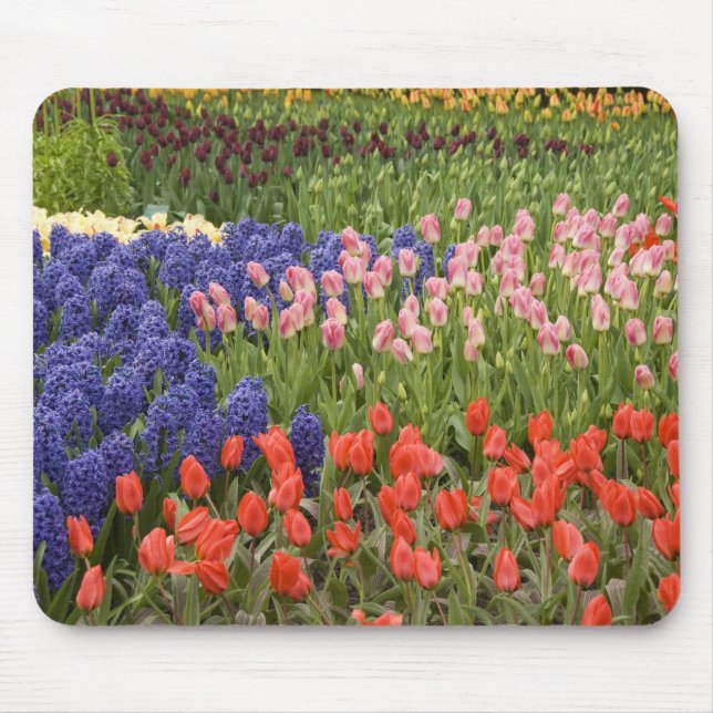 Alfombrilla De Ratón Países Bajos (Holanda), Lisse. Keukenhof 9 (Frente)