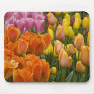 Alfombrilla De Ratón Países Bajos (Holanda), Lisse. Keukenhof 9