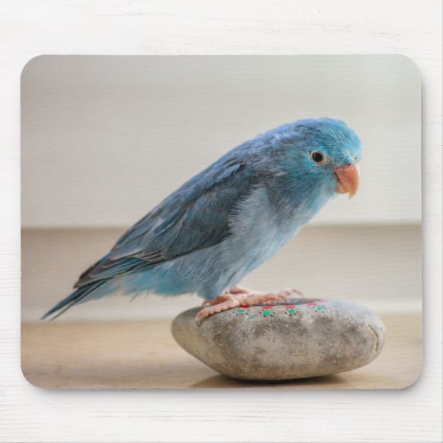 Alfombrilla De Ratón Pájaro Azul (Frente)