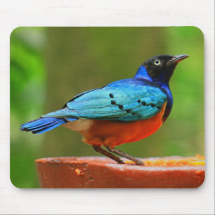 Alfombrilla De Ratón Pájaro azul Mousepad