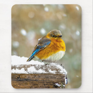 Alfombrilla De Ratón Pájaro azul oriental en nieve - Fotografía origina