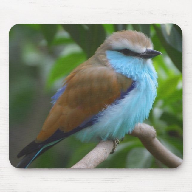 Alfombrilla De Ratón Pájaro bonito Mousepad (Frente)