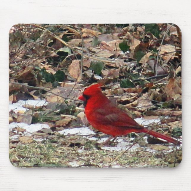 Alfombrilla De Ratón Pájaro cardinal rojo en hojas (Frente)