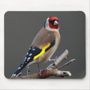Alfombrilla De Ratón Pájaro del Goldfinch