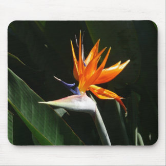 Alfombrilla De Ratón Pájaro del Naranja del paraíso Flor tropical
