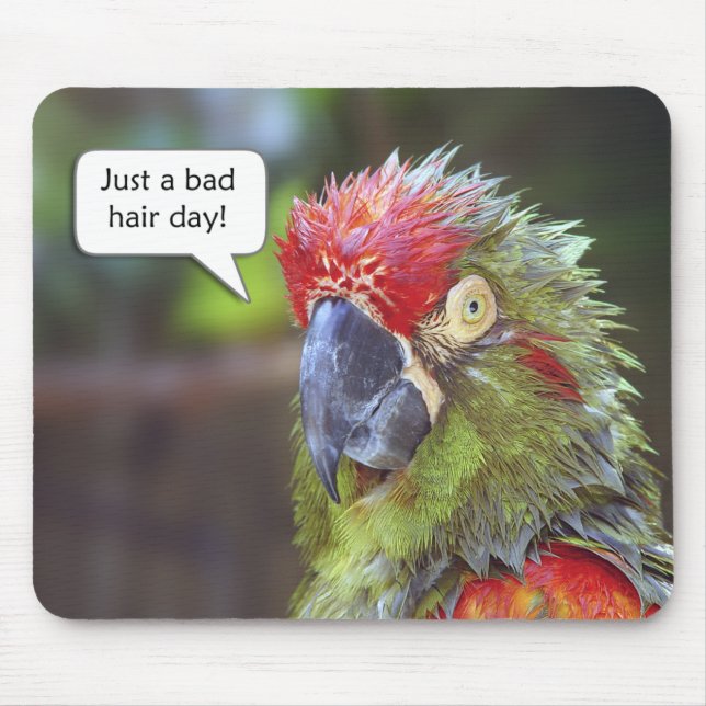 Alfombrilla De Ratón Pájaro divertido Mousepad (Frente)