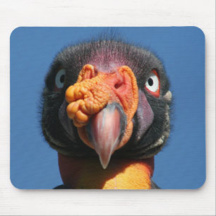 Alfombrilla De Ratón Pájaro feo Mousepad de rey buitre