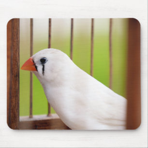 Alfombrilla De Ratón Pájaro finco de cebra blanca en jaula