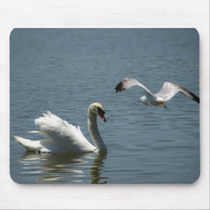Alfombrilla De Ratón Pájaro jugando con cisne