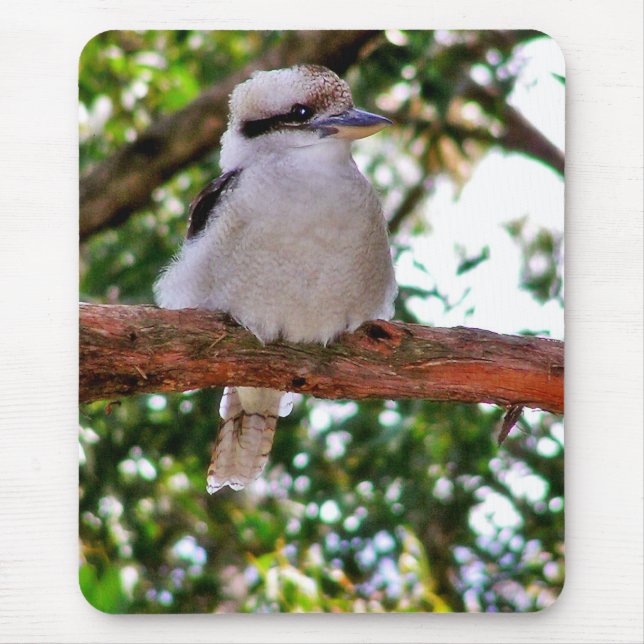 Alfombrilla De Ratón Pájaro Kookaburra en una rama arbórea Mousepad (Frente)