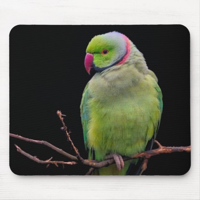 Alfombrilla De Ratón Pájaro, loro, paracaídas (Frente)