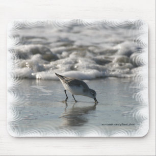 Alfombrilla De Ratón Pájaro Mousepad de la playa