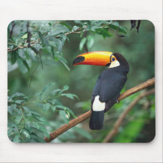 Alfombrilla De Ratón Pájaro Mousepad de Toco Toucan