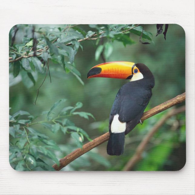 Alfombrilla De Ratón Pájaro Mousepad de Toco Toucan (Frente)