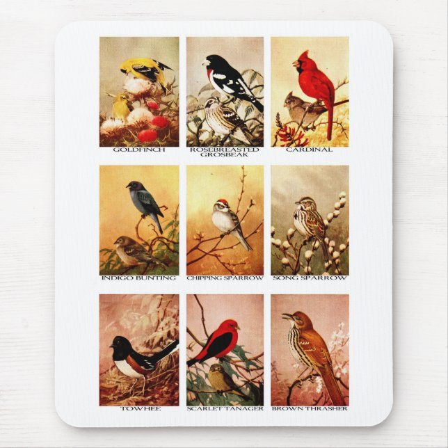 Alfombrilla De Ratón Pájaros (Frente)