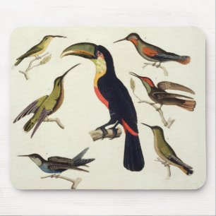 Alfombrilla De Ratón Pájaros nativos, incluyendo el Toucan (centro),