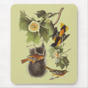 Alfombrilla De Ratón Pájaros Troupial Oriole Mousepad de Audubon del