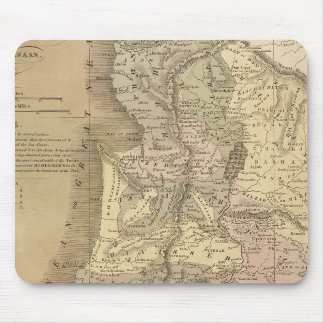 Alfombrilla De Ratón Palestina 6 (Frente)