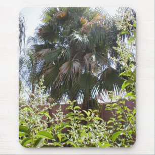Alfombrilla De Ratón Palmera