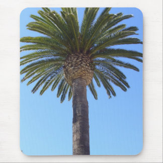 Alfombrilla De Ratón Palmera en San Diego, CA