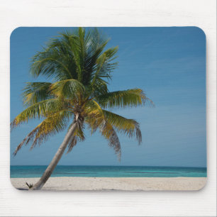 Alfombrilla De Ratón Palmera y playa de arena blanca  2