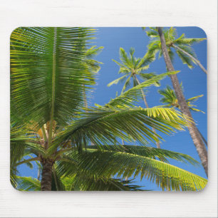 Alfombrilla De Ratón Palmeras de coco, Pu'uhonua o Honaunau 1