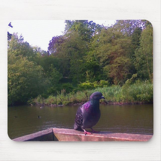 Alfombrilla De Ratón Paloma inquisitiva (Frente)