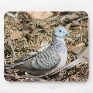 Alfombrilla De Ratón Paloma Pacífico - Geopelia placida