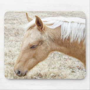 Alfombrilla De Ratón Palomino Colt Pony Horse