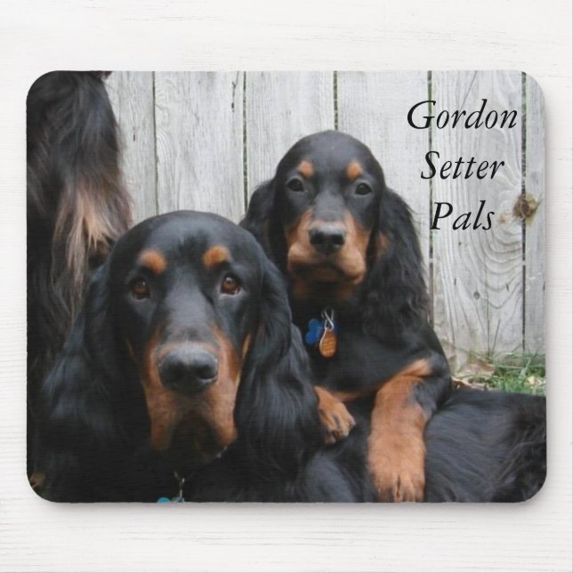 Alfombrilla De Ratón Pals Mousepad del organismo de Gordon (Frente)