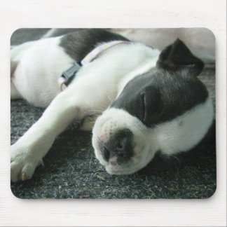Alfombrilla De Ratón panda